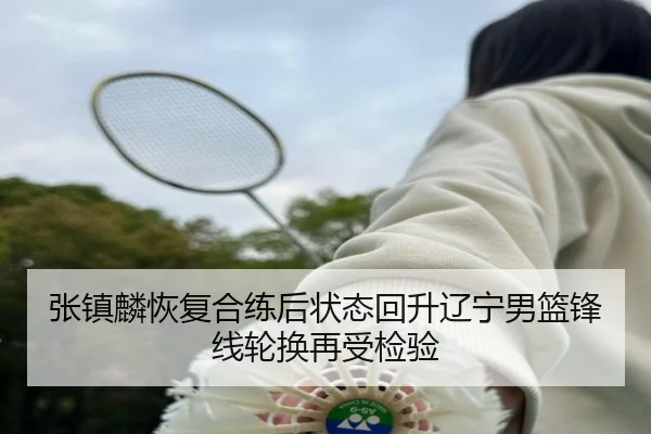 张镇麟恢复合练后状态回升辽宁男篮锋线轮换再受检验